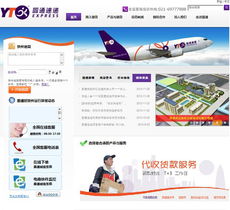 上海网站建设 专业、高效、全面的数字化解决方案提供商