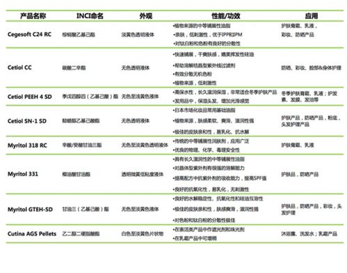 赛福网站 专业网站建设与服务