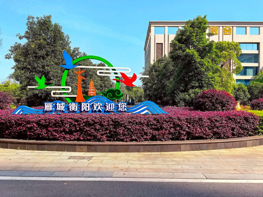 衡阳网站建设 从权威视角看数字化转型与技能人才培养